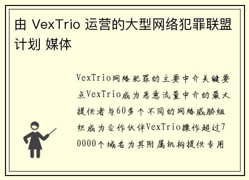 由 VexTrio 运营的大型网络犯罪联盟计划 媒体